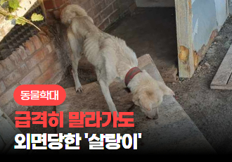 [동물학대] 급격히 말라가도 외면당한 ‘살랑이’