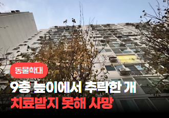 [동물학대] 9층 높이에서 떨어진 후 살아남았지만, 치료받지 못해 사망한 개