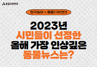 [동물자유연대X한국일보]2023년 올해의 동물뉴스 결과를 발표합니다!