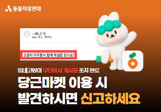 당근마켓 동물학대 게시물을 규제 처리했습니다!