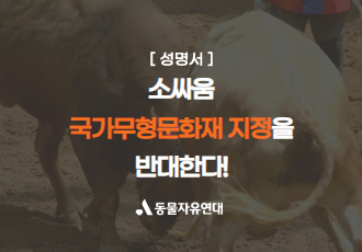 [성명서] 소싸움 국가무형문화재 지정을 반대한다!