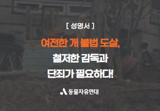 [성명서]여전한 개 불법 도살, 철저한 감독과 단죄가 필요하다