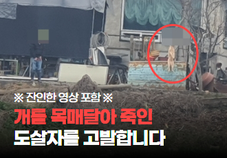 [동물학대] 개를 목매달아 죽인 도살자를 고발합니다