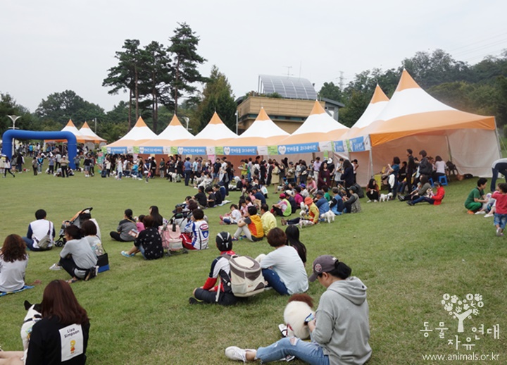 강동구 반려동물 사랑축제 '교감'에 다녀왔습니다~