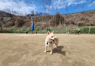 레이가 이제 활짝 웃어요:) 