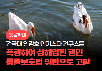 [동물 학대] 건국대학교 인기스타 거위 ‘건구스’ 가 폭행을 당했습니다.