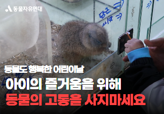 [동물체험반대]아이의 즐거움을 위해 동물의 고통을 사지 마세요