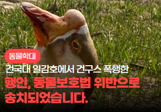 [동물 학대] 건국대학교 귀염둥이 건구스 폭행한 행인, 동물보호법 위반으로 송치