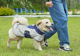 사랑하는 반려견과 함께🐕 ‘온캣에 온가족’ 후기