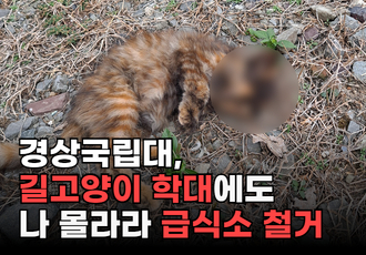 잇따른 길고양이 학대에도 길고양이 급식소 철거 강행한 경상국립대