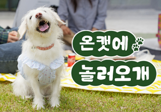 [7월 온캣에 놀러오개] 잔디마당에서 같이 놀아요🐕