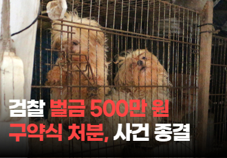 [보령 불법 번식장] 검찰 벌금 500만 원 구약식 처분, 사건 종결