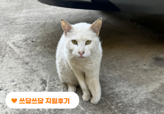 [쓰담쓰담] 부러진 뼈가 근육을 파고든 흰둥이