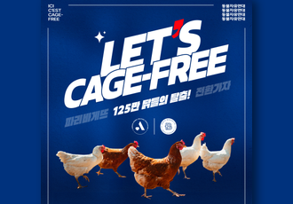 [125만 닭들의 탈출] Let’s Cage-Free!