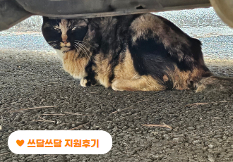 [쓰담쓰담] 다리를 절며 아픈 모습으로 나타난 햇반이