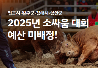 [소만 남고 싸움 가라] 정읍·완주·김해·함안, 2025년 소싸움 대회 예산 미배정!