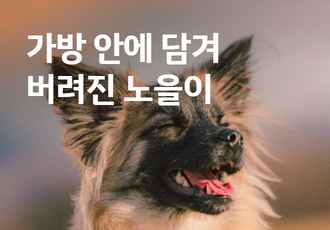 가방 안에 담겨 버려진 노을이