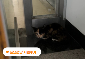 [쓰담쓰담] 한구석에 놓인 비닐봉지 같던  랑이 