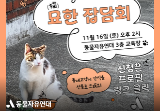 [묘한잡담회] 11월 16일 오후 2시, 동네고양이 돌봄활동가를 초대합니다!