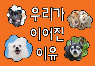 [2024 온라인 결연의 날] 우리가 이어진 이유🐕