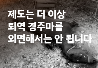 [말들을 위한 나라는 없다] 제도는 더 이상 퇴역 경주마를 외면해서는 안 됩니다