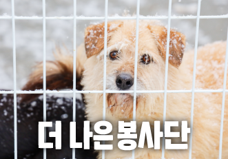 [봉사] 12월 정기 봉사로 함께할 '더 나은 봉사단'을 모집합니다🐾