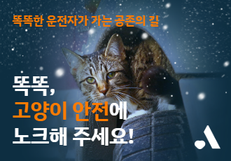 [똑똑한 운전자가 가는 공존의 길] 똑똑, 고양이 안전에 노크해 주세요!