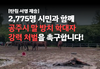 [탄원 서명 제출] 2,775명 시민과 함께 공주시 말 방치 학대자 강력 처벌을 촉구합니다!