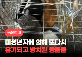 [동물 학대] ‘외로움’이라는 변명으로 ‘동물 학대’라는 잘못된 선택을 한 미성년자