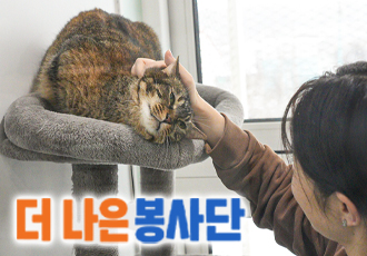 [봉사/온캣] 2월 정기봉사자를 모집합니다!🐈