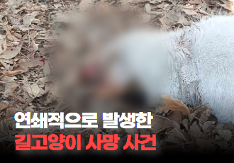 [동물 학대] 길고양이 혐오와 고양이 연쇄 사망 사건 사이의 연결 고리