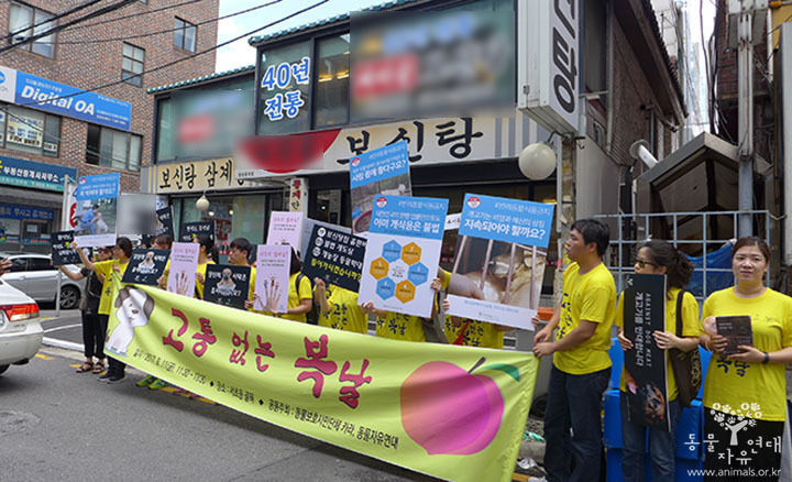 무더위도 무색했던 ‘고통 없는 복날’ 캠페인 후기