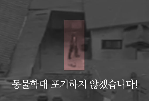 [영천 개 학대 사건 재항고!]동물학대 포기하지 않겠습니다!