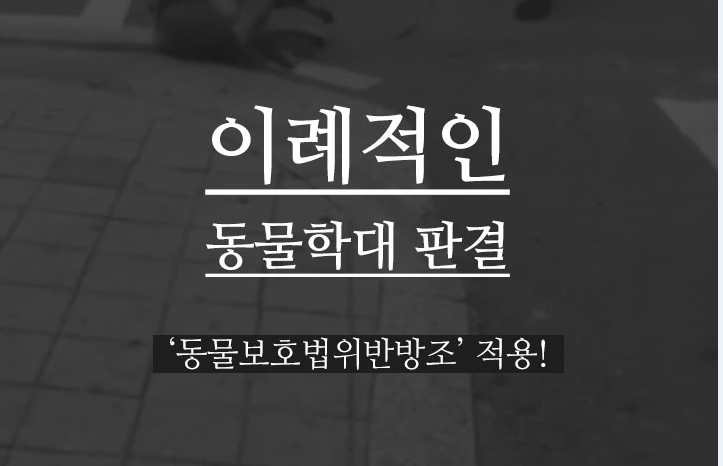 [개식용 철폐] 부산 구포시장 개 학대 사건, ‘동물보호법위반방조’ 적용!