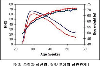 왕란의 비밀