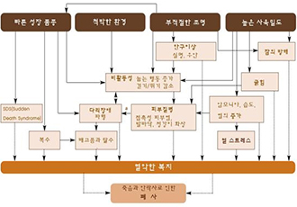 '국민간식' 치킨, '치느님'이 등장하기까지, 고통 속에 사는 닭들