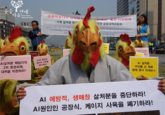 [기자회견후기] 공장식 축산을 내버려두면 한국축산은 끝! 