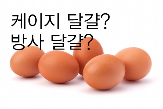 달걀제품에 사육방법 표기가 필요합니다!