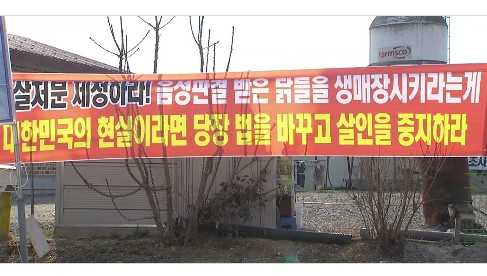 익산 동물복지농장 ‘예방적’ 살처분 명령 집행정지 결정을 촉구한다.