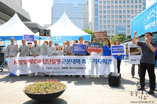 [후기] AI발생 예방과 집단살생 근본대책 촉구 기자회견