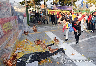 양계협회의 달걀 파괴와 암탉 동원 시위, 동물산업계의 비인도적인 민낯이다.