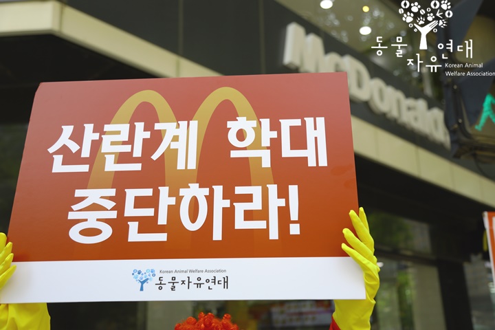 [언해피밀] 한국맥도날드 케이지 프리 촉구 1인 시위가 시작되었습니다!