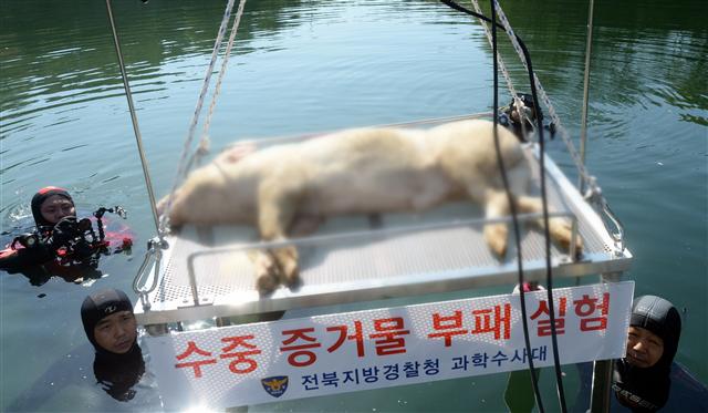 [논평] 전북지방경찰청의 돼지 수장 실험에 유감을 표한다.