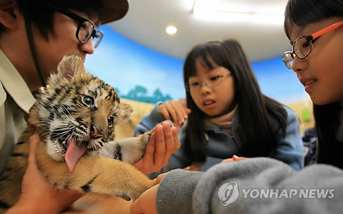 교육이라는 허울을 쓴 동물학대 산업, 체험동물원