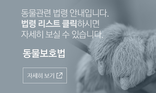 동물보호법